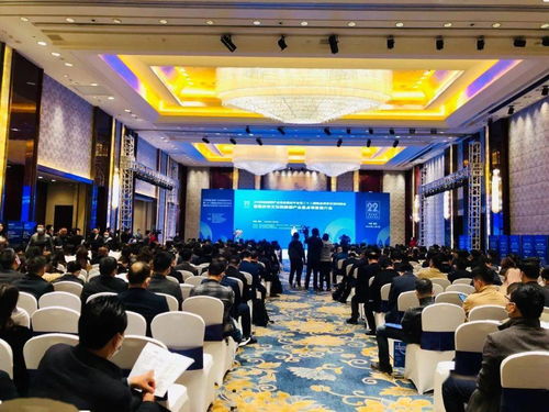 藝術新引擎，文旅新動能——文化與旅游部產業精品項目交流對接會在我市盛大舉行